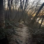 Kyle Beam - @kyle_style_photography - Instagram