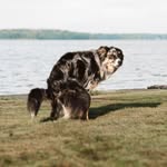 Kyle Beaty - @kylegbeaty - Instagram