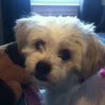 Kipper Kyle Beckham Bennett - @kipperkyle - Instagram