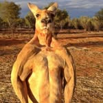 Kyle Beckwith - @kylebeckwith18 - Instagram