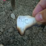 kyle bedwell - @kyle__bedwell - Instagram