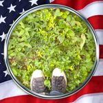 Kyle Belew - @belewkyle - Instagram