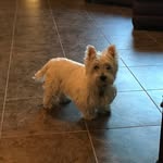 Kyle - @kylebenefield725 - Instagram