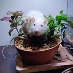 Kyle Benzle - @kylebenzle - Instagram