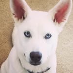 Kyle Berg - @flybynight14 - Instagram