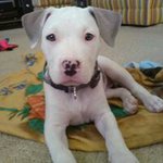 Kyle Bernhardt - @kylebernhardt - Instagram