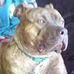 Kyle Bertelsen - Facebook