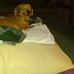 Kyle Bess - Facebook