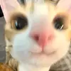 ky.le_be.ss - @ky.le_be.ss - TikTok