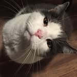 Beverly Kyle - @beverly.kyle.1 - Instagram