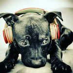 Kylebillington - @kylebilling - Instagram