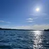 kalleblomgren - @kalleblomgren - TikTok