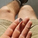 Kyle Bloom - @kyle_bloom_ - Instagram