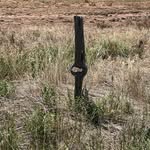 Kyle Bloomer - @kyle_bloomer78 - Instagram