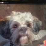 Kyleblunt - @kylebluntt - Instagram