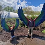 Kyle Boddy - Facebook