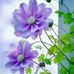 Kelly Bolte - Facebook