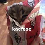 Gael - @kyleboringl - Instagram