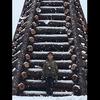 kyleborne577 - @kyleborne577 - TikTok