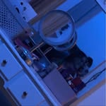 Kyle Boswell - @kyle_bozzy - Instagram