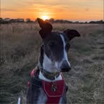 Kyle Bowler - Facebook