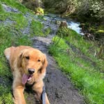 Kyle Bracke - @kyle.bracke - Instagram