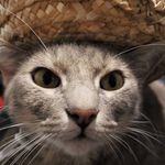 Kyle Brigham - @kyle_brigham_ - Instagram