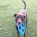 Kyle Brinkerhoff - Facebook