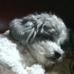 @kylebrophy17 - Instagram