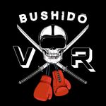 Kyle Burchett - @bushido_vr - Instagram