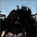 Kyle Burnett - Facebook