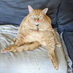 Kyle Burk - @kyle_burk - Instagram