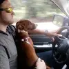 Kyle Burrow - @kyleburrow - TikTok