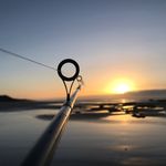 K.D.Busse - @kyle_busse_1080 - Instagram