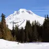 Kyle Busse675 - @kylebusse675 - TikTok