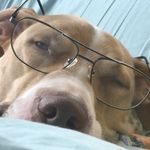 Caden Kyle - @caden_kyle - Instagram