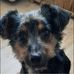 Kyle Cade - Facebook