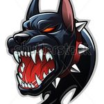 Kyle Calvert - @__calvert_559_ - Instagram