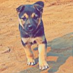 @kyle_canada_01 - Instagram