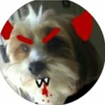 Kyle Canton - @kyle.gaming - Instagram