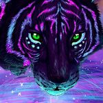 Kyle Cantu - @kvc987123 - Instagram