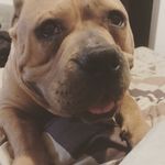 Kyle Carney - @carney7514 - Instagram