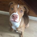 Kyle Carney - @kyle.carney66 - Instagram