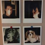 Kyle Carrigan - @pete_clarf - Instagram