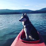 Kyle Cartwright - @kyle_cartwright - Instagram