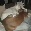 Kyle Mccaskey - @kyle.mccaskey - TikTok