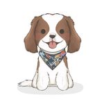 👑 𝕂𝕐𝕃𝔼ℝ - @kylerthecavalier - Instagram