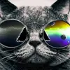 Kyle Cavanagh782 - @kylecavanagh782 - TikTok