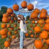 ˗ˏˋ kylee ´ˎ˗ - @kyleecenterslol - TikTok