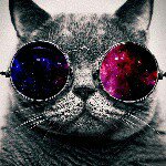 Kyle chipman - @kylechipman81 - Instagram